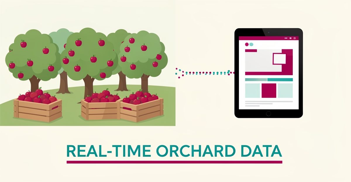 Flat illustration of an orchard with overflowing fruit crates connected by a broken data line to a website on a tablet, symbolizing outdated fruit availability.