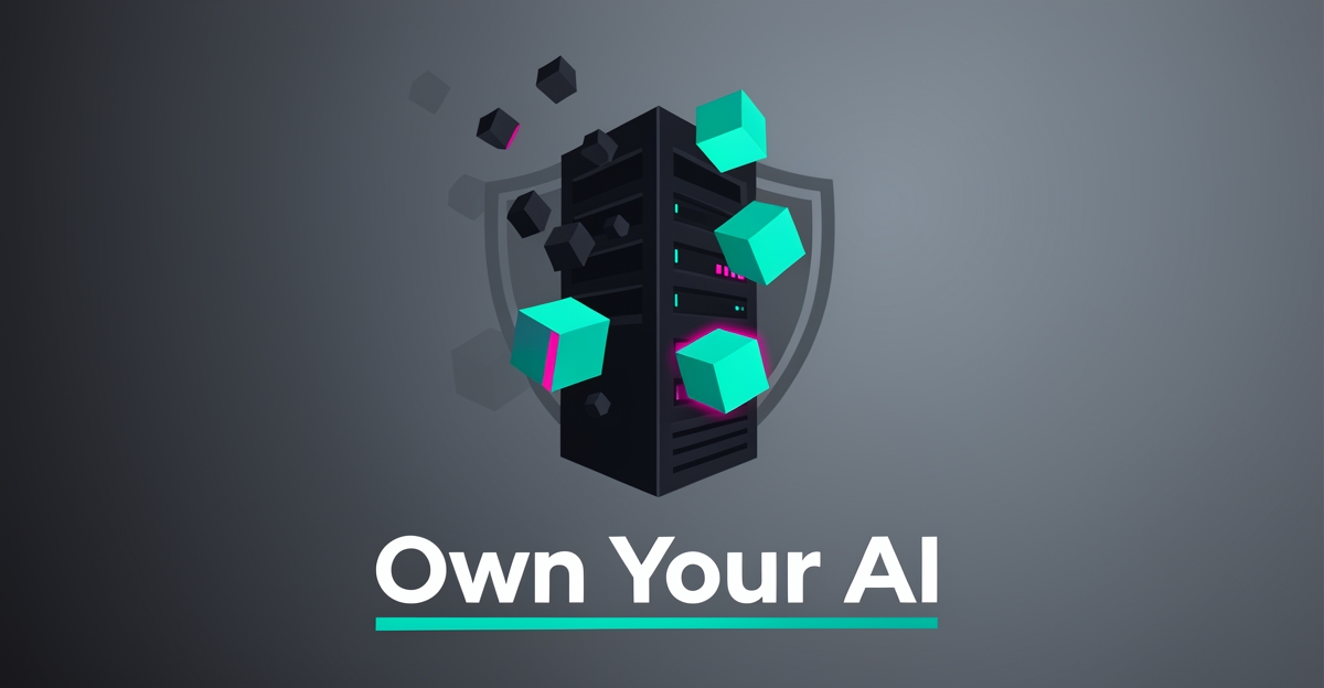 What Happens When Your AI Provider Shuts Down? Ownership Explained