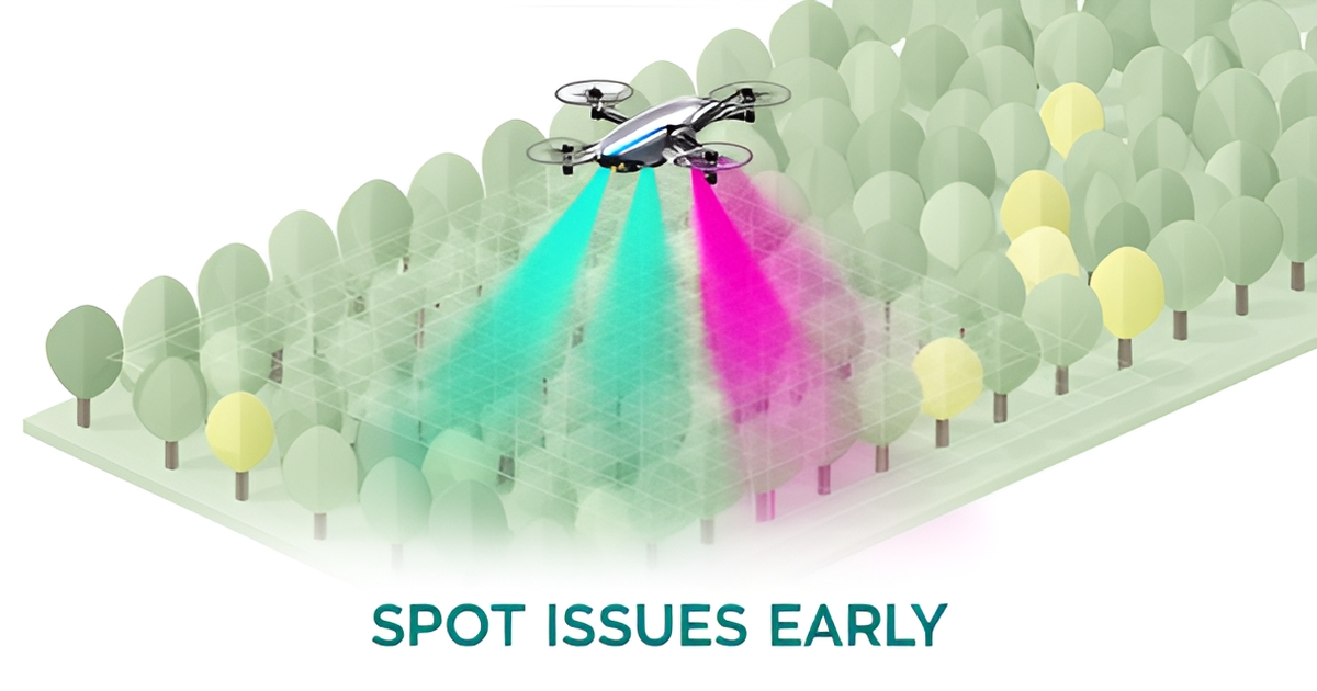 Flat illustration of a drone scanning tree farm rows with teal and magenta multispectral light to detect tree stress early.